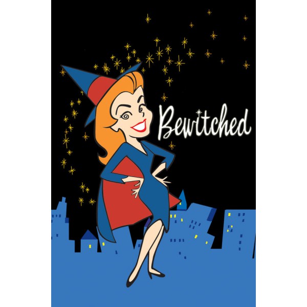 Bewitched Season 1-8 DVD Box Set