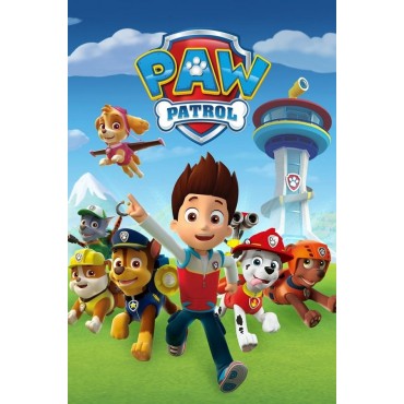 PAW Patrol Season 1-10 DVD Box Set