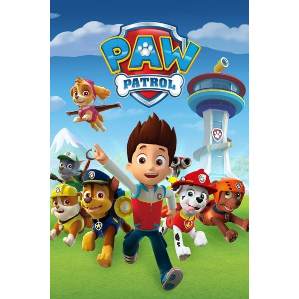 PAW Patrol Season 1-10 DVD Box Set